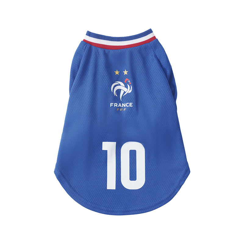 France FFF Pet No.10 Home Jersey - Blue