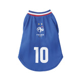 France FFF Pet No.10 Home Jersey - Blue