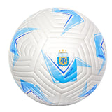 Argentina AFA Crest Soccer Ball - Size 5
