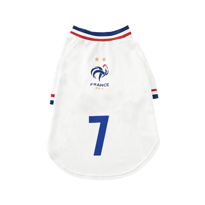 France FFF Pet No.7 Away Jersey - White