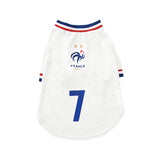 France FFF Pet No.7 Away Jersey - White