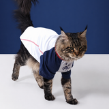 France FFF Pet Raglan T-Shirt