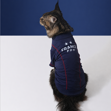 France FFF Pet Cooling T-Shirt