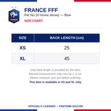 France FFF Pet No.10 Home Jersey - Blue