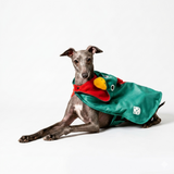 Portugal FPF Pet Rooster Costume