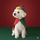 Portugal FPF Pet Rooster Costume
