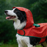 Portugal FPF Pet Raincoat