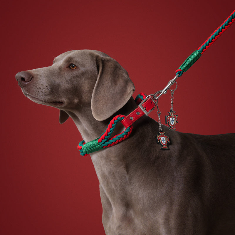 Portugal FPF Pet Woven Leash