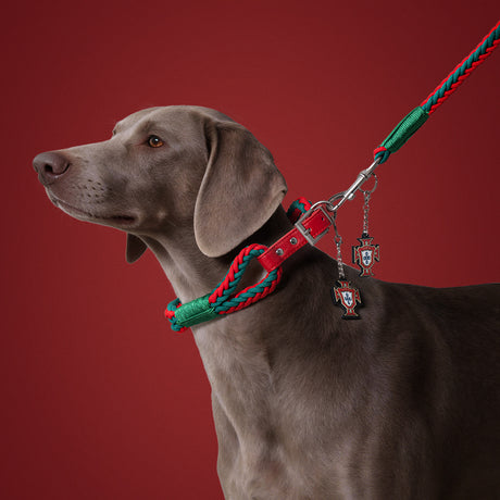 Portugal FPF Pet Woven Leash