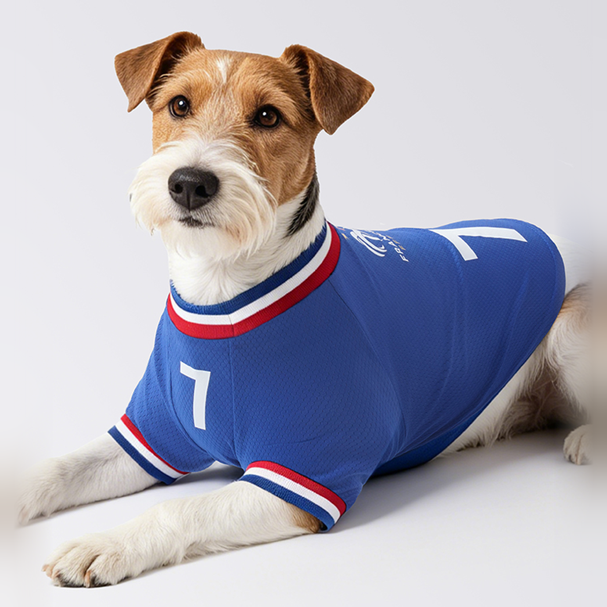 France FFF Pet No.7 Home Jersey - Blue