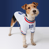 France FFF Pet No.10 Away Jersey - White