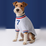 France FFF Pet No.7 Away Jersey - White