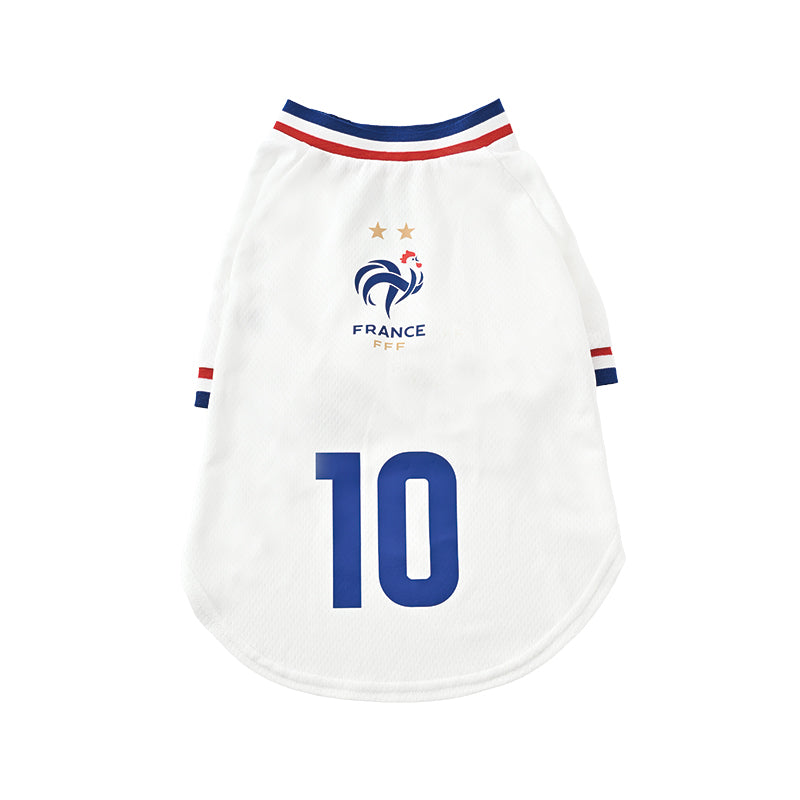 France FFF Pet No.10 Away Jersey - White