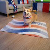 France FFF Pet Cooling Mat