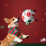 Portugal FPF Pet Soccer Ball Tug Toy