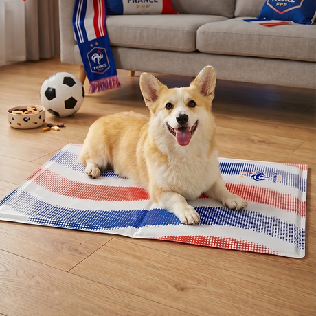 France FFF Pet Cooling Mat