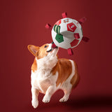 Portugal FPF Pet Soccer Ball Tug Toy